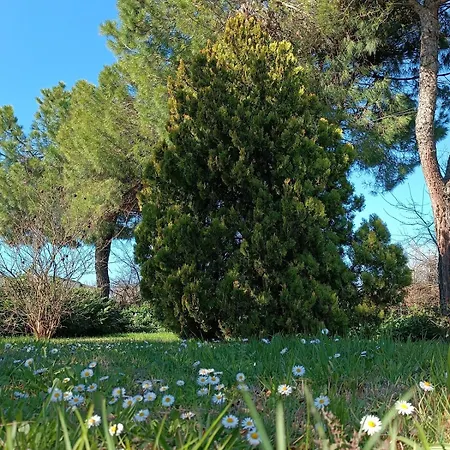Casa vacanze Capricornio Club Diffuso Casa Carlotta *